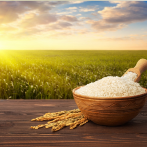 1121 Basmati Rice
