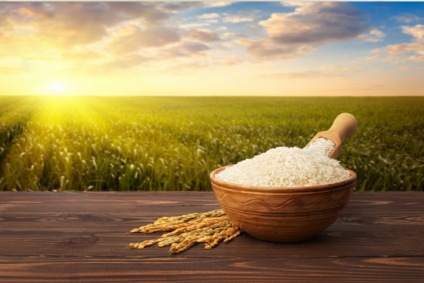 1121 Basmati Rice