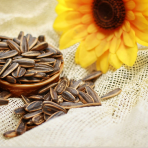 SunFlower Seed
