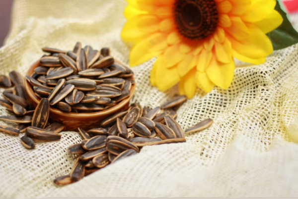 SunFlower Seed