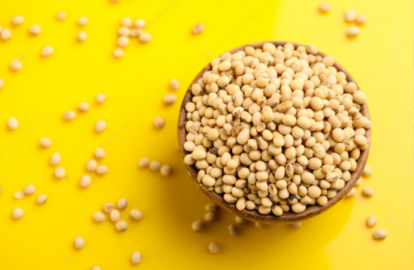 SoyaBeen Seed